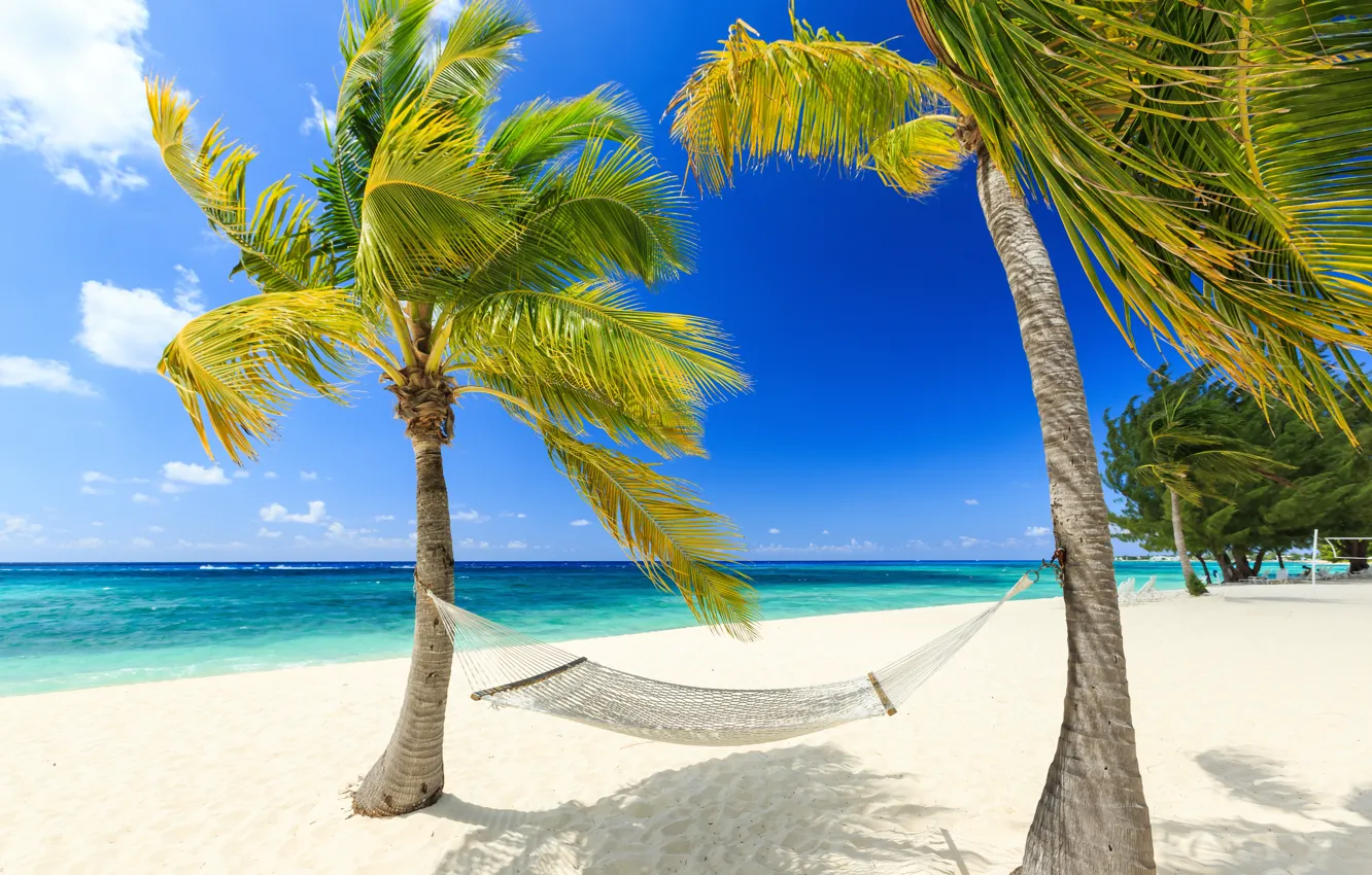 Photo wallpaper sand, sea, beach, palm trees, shore, summer, beach, sea