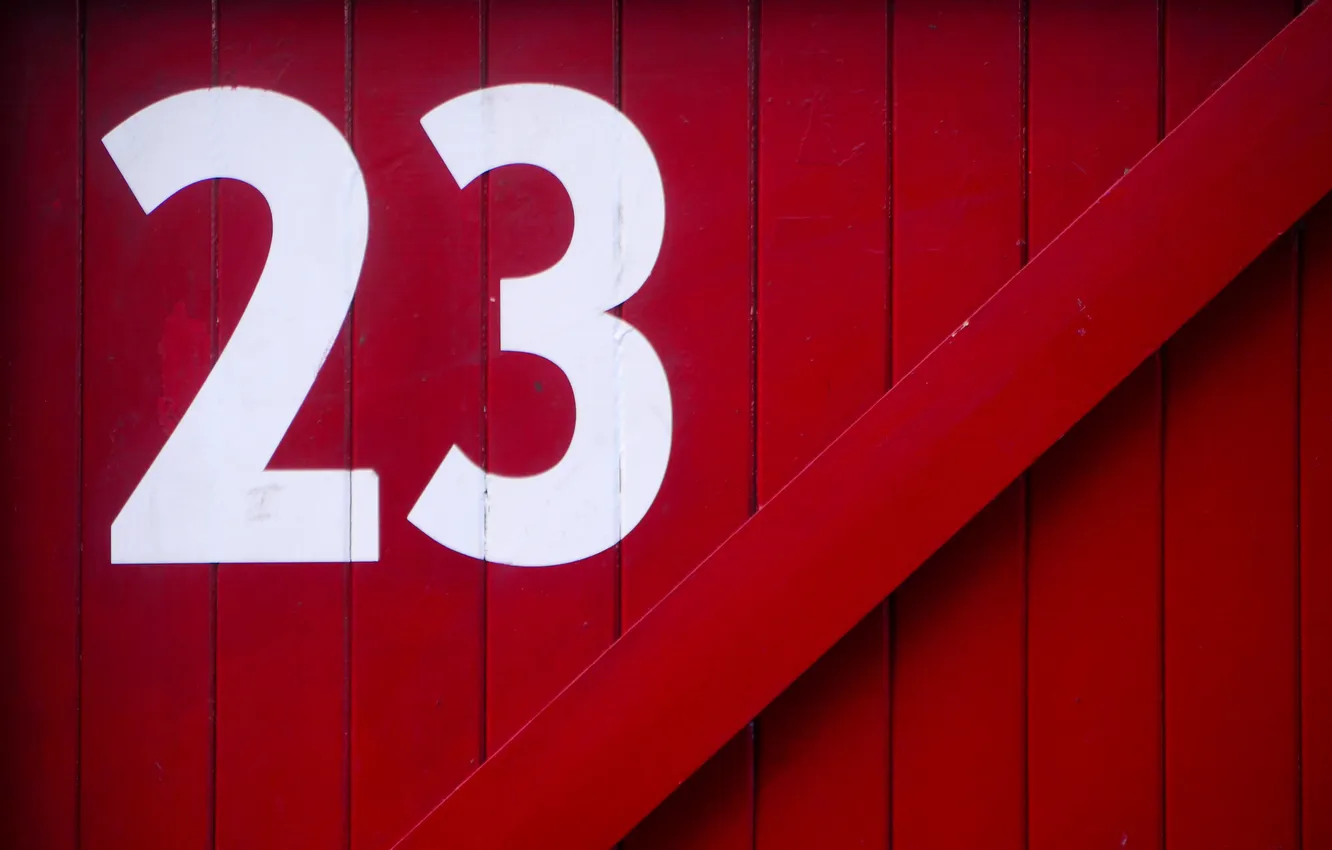 Photo wallpaper background, wall