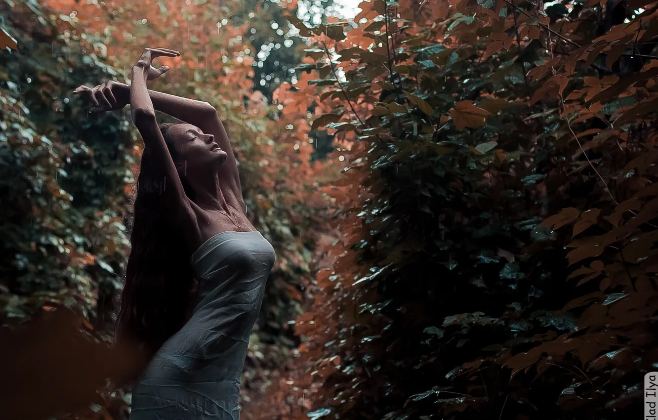 Photo wallpaper chest, leaves, girl, Ilya Klad, Ilya Baggage