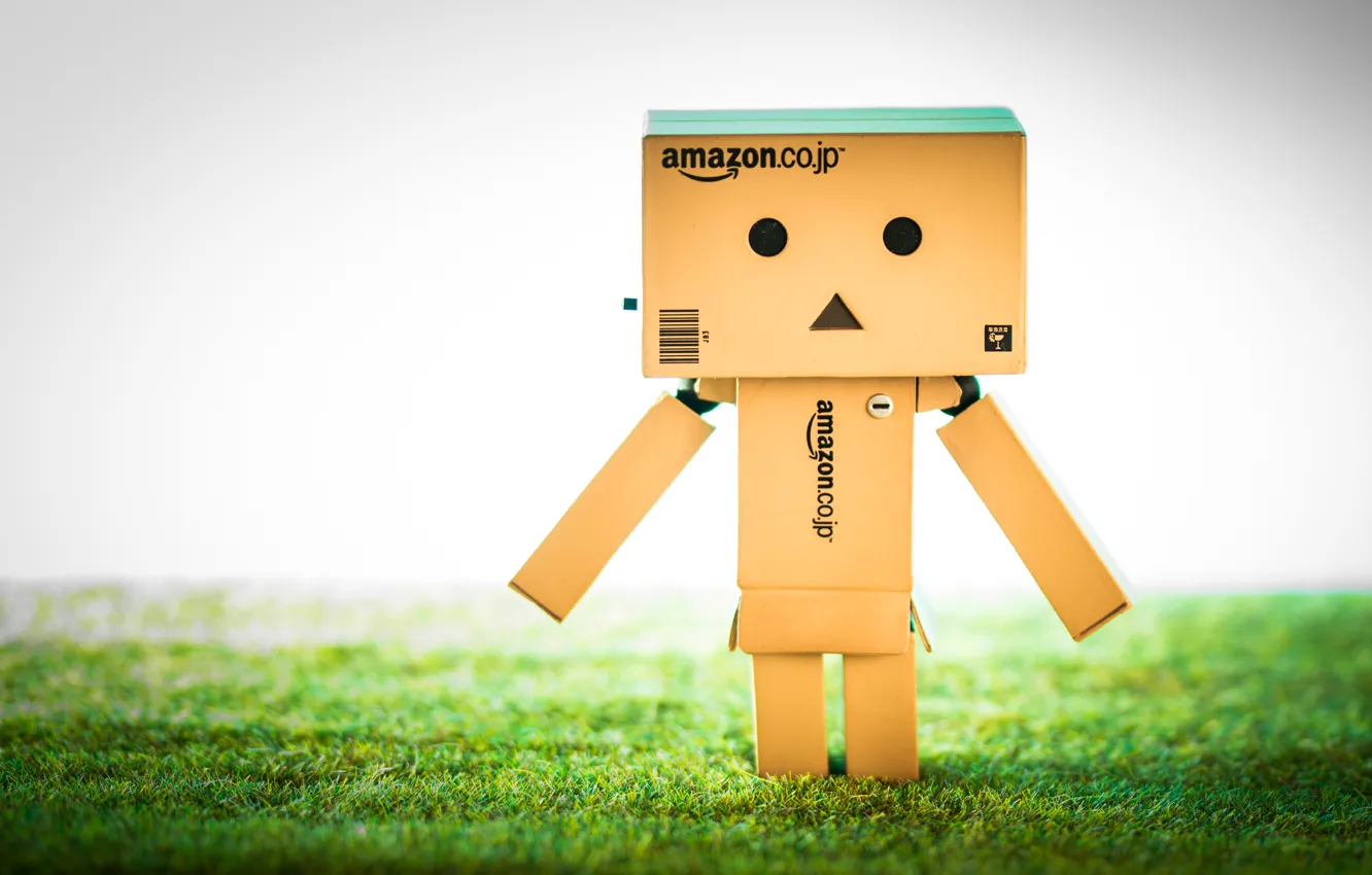 Photo wallpaper danbo, danbo, amazon