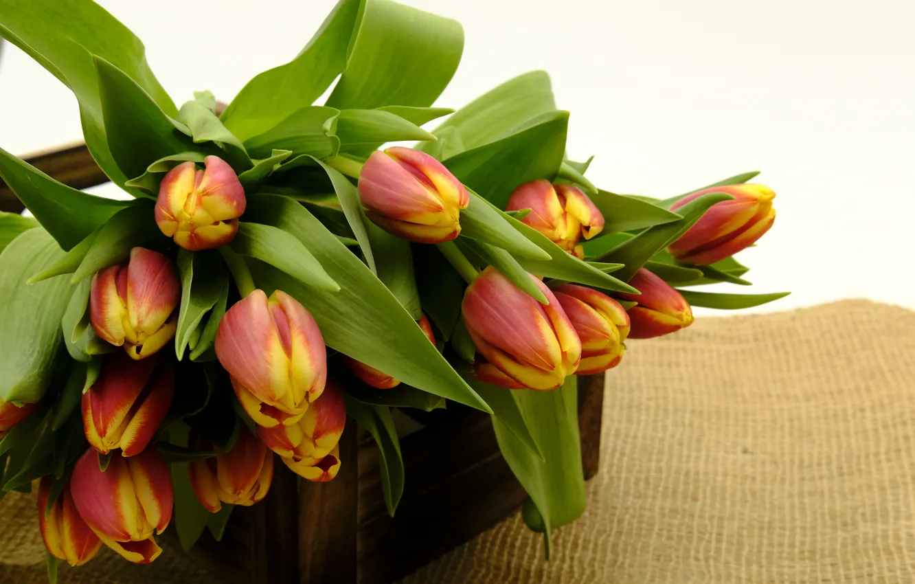 Photo wallpaper bouquet, tulips, wooden box