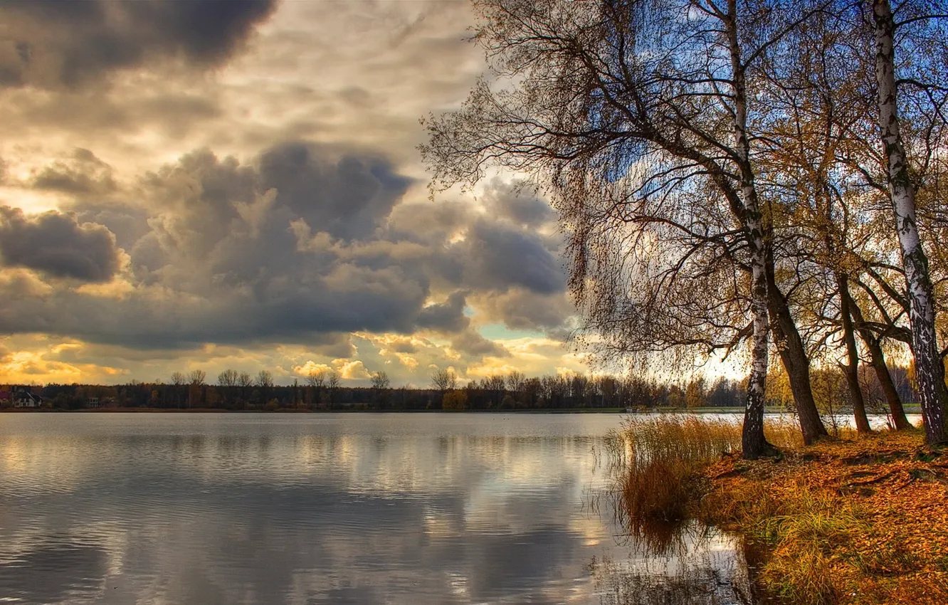Photo wallpaper clouds, trees, lake, birch