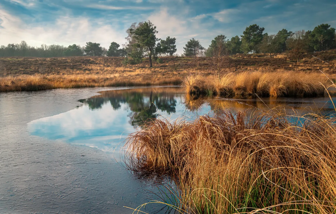 Photo wallpaper autumn, nature, lake