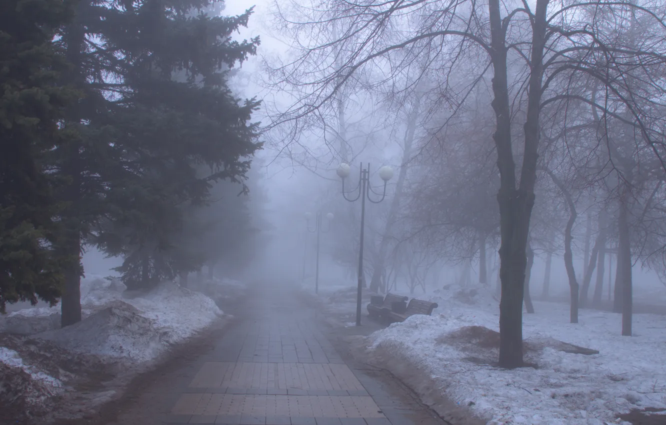 Photo wallpaper snow, trees, fog, spring, morning, Russia, Samara, Stan