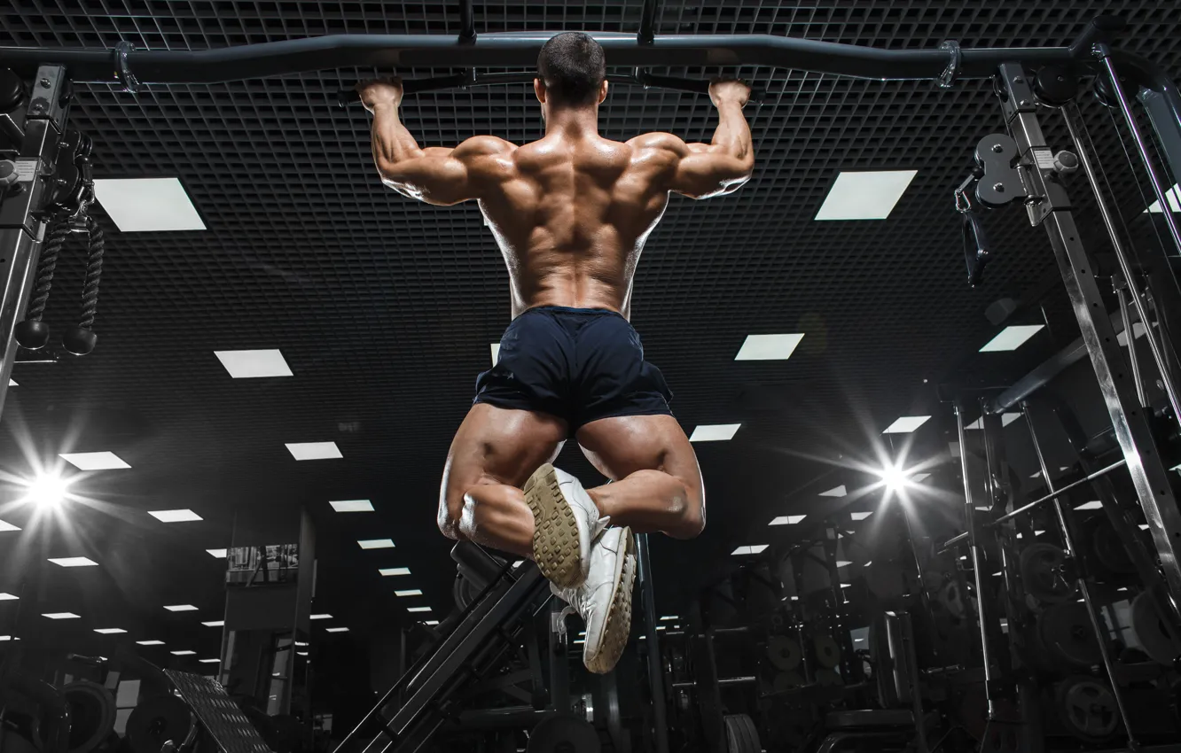 Photo wallpaper Back, muscle, muscle, Back, the horizontal bar, workout, gym, gym