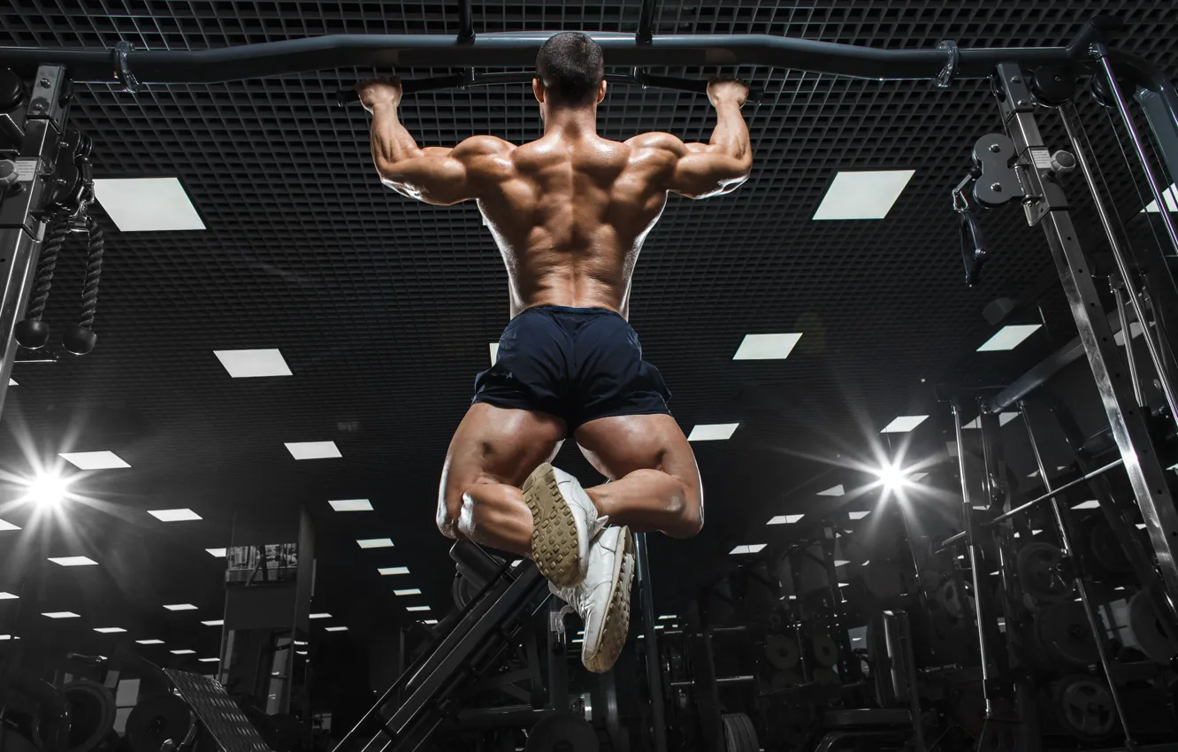 Photo wallpaper back, Muscle, muscle, back, the horizontal bar, workout, gym, gym
