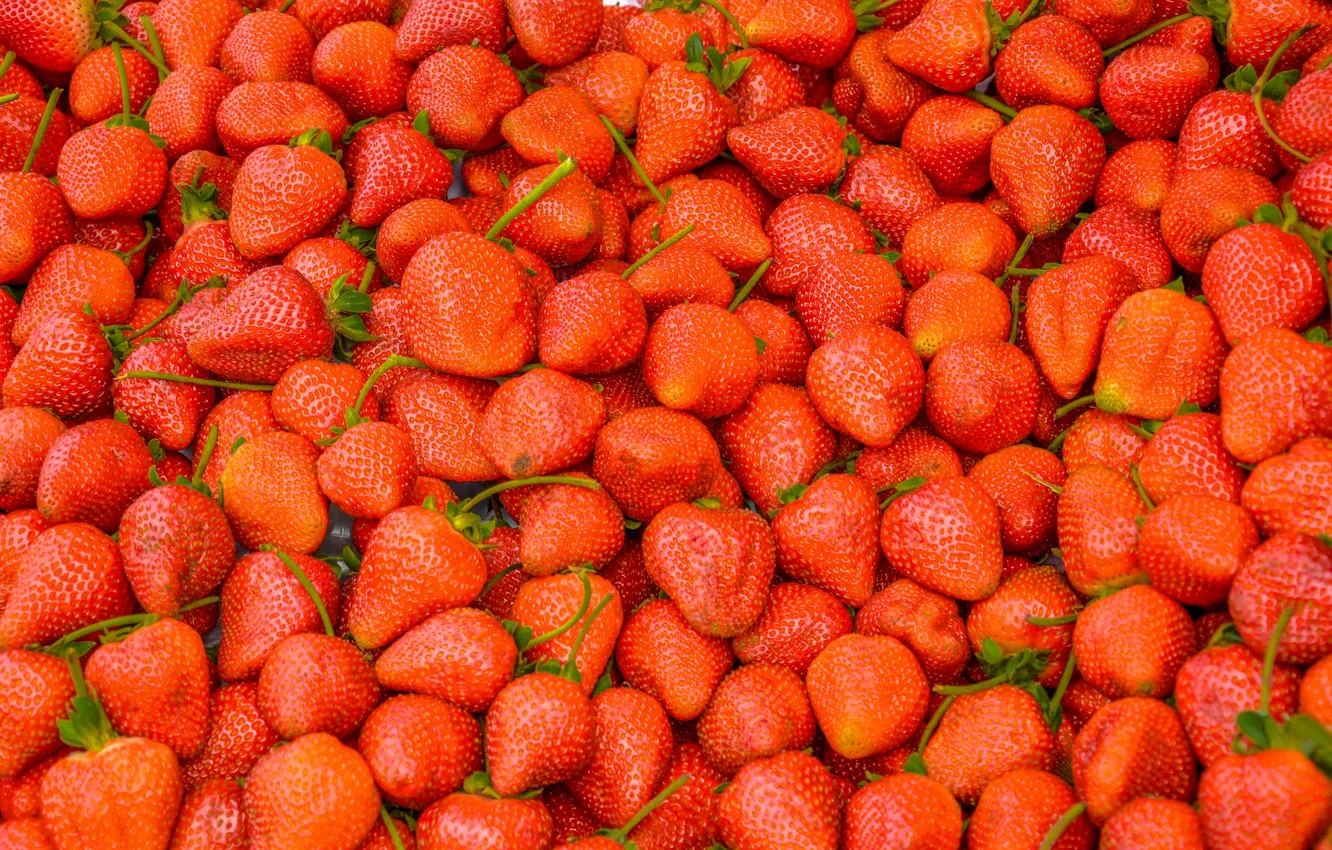 Photo wallpaper berries, harvest, strawberry
