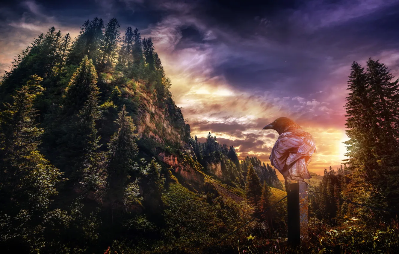 Photo wallpaper the sky, mountains, bird