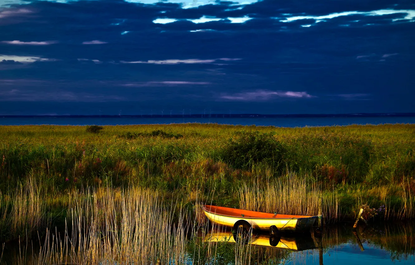 Photo wallpaper grass, river, the reeds, shore, boat, the evening