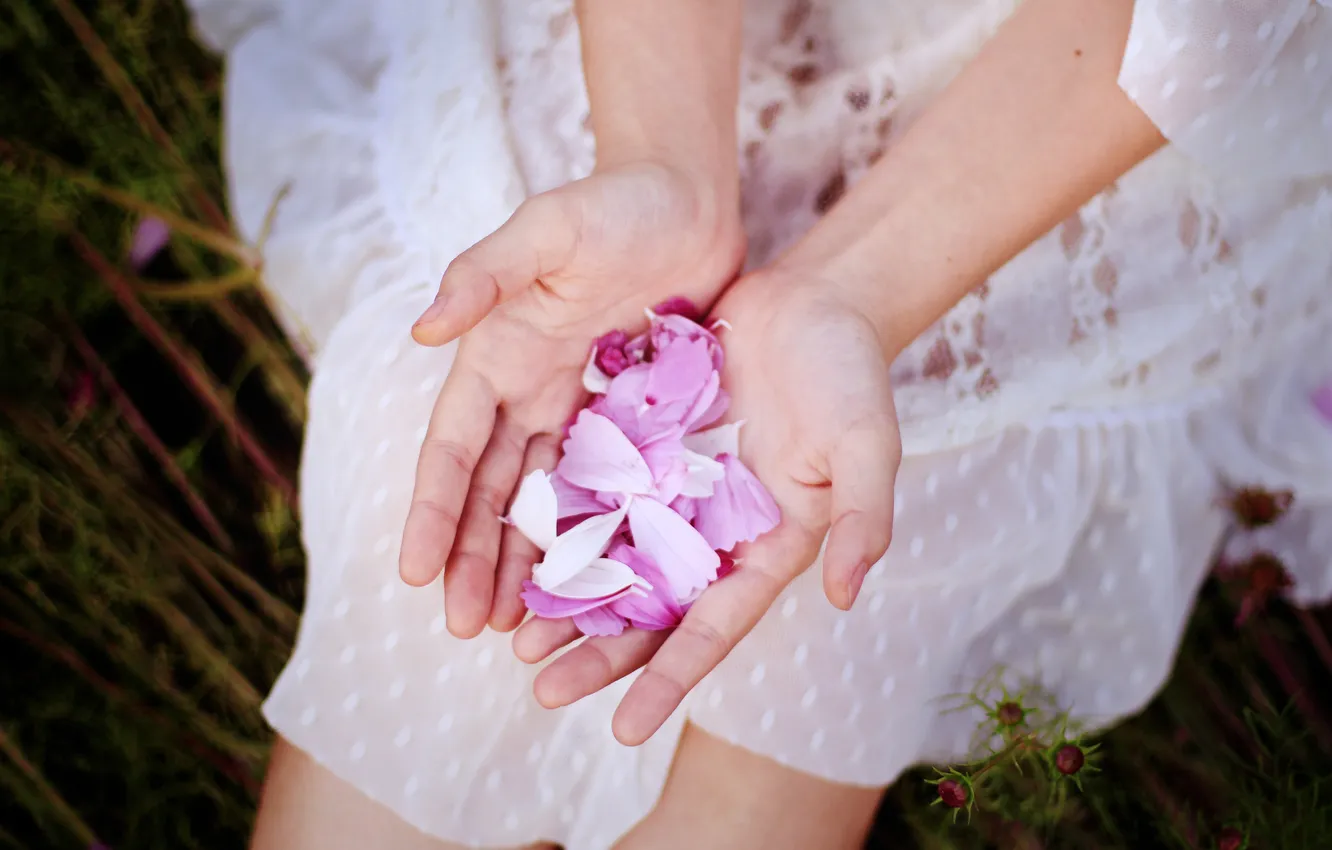 Photo wallpaper hands, petals, pink