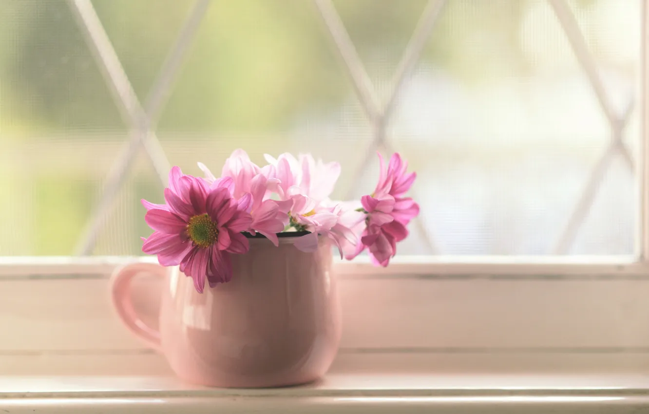 Photo wallpaper flowers, window, pot