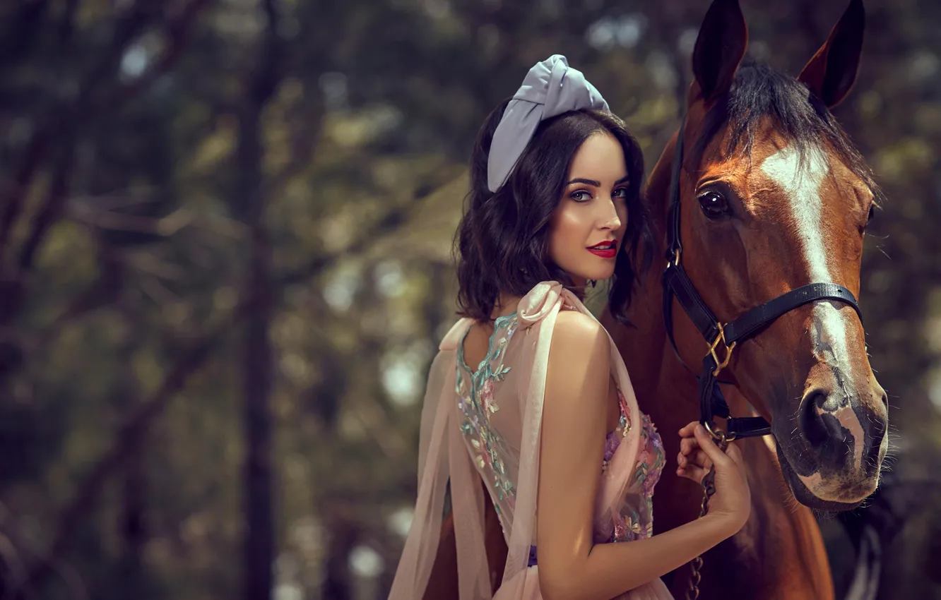 Photo wallpaper girl, trees, horse, horse, brunette