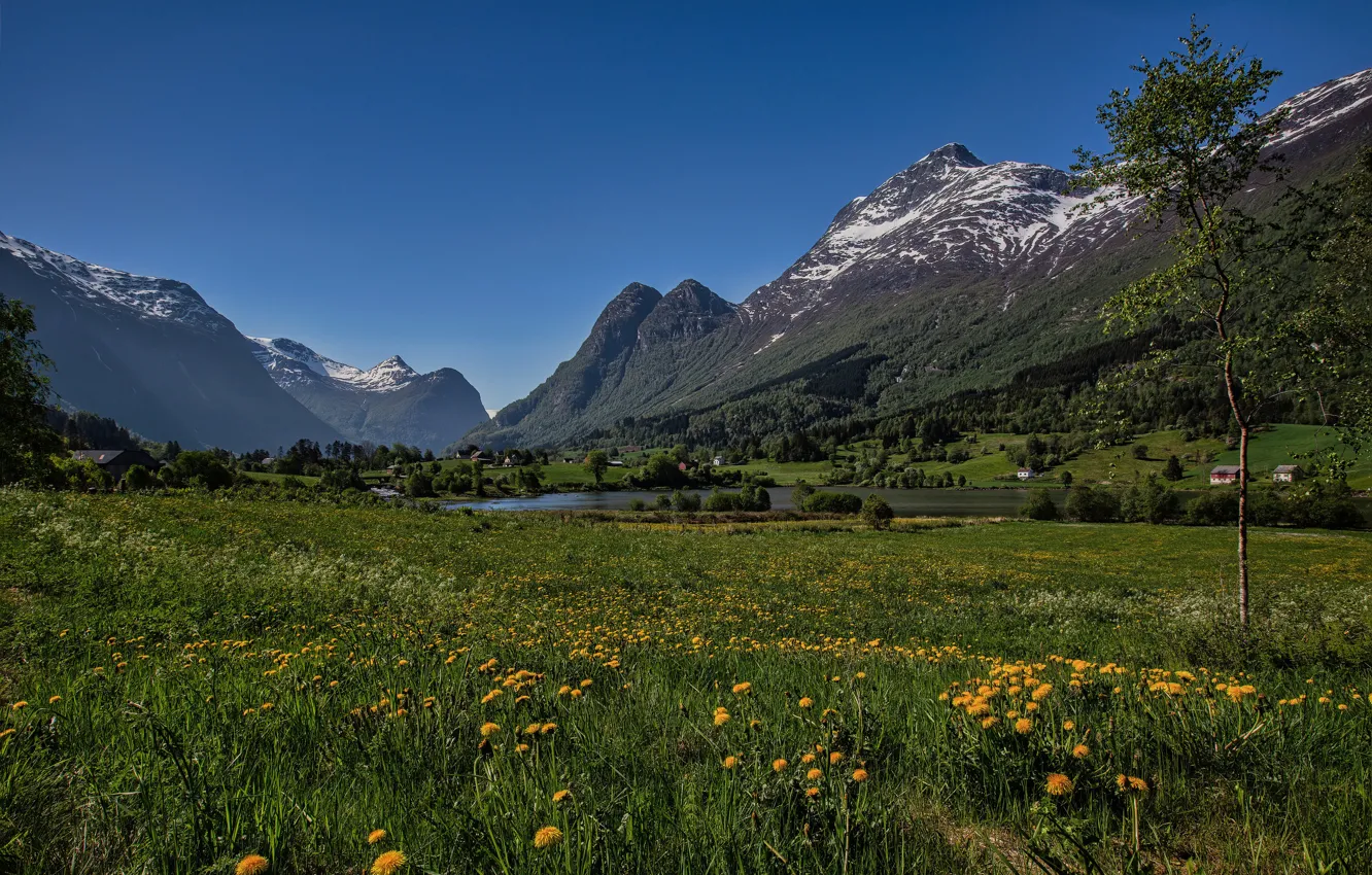 Photo wallpaper summer, landscape, mountains, meadow, Norway