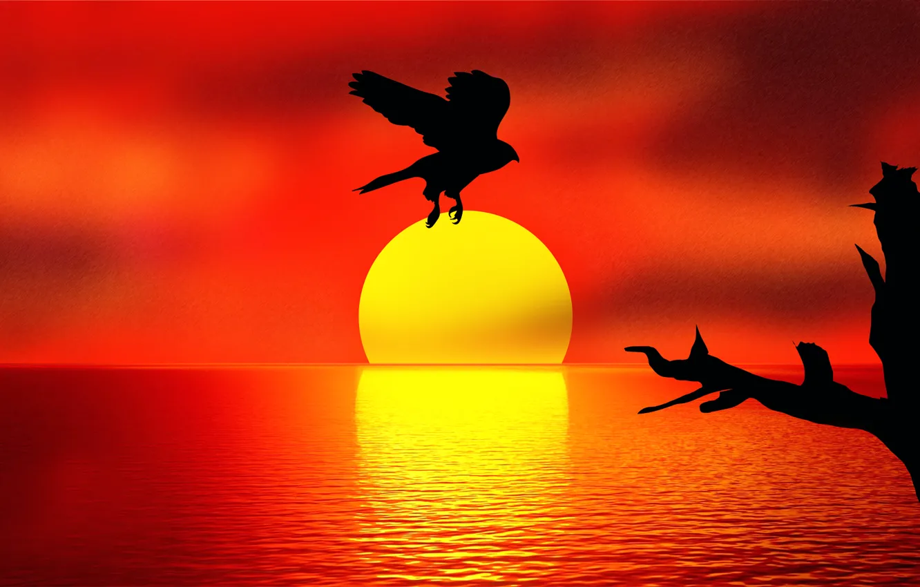 Photo wallpaper sunset, reflection, bird, Holding the SUN