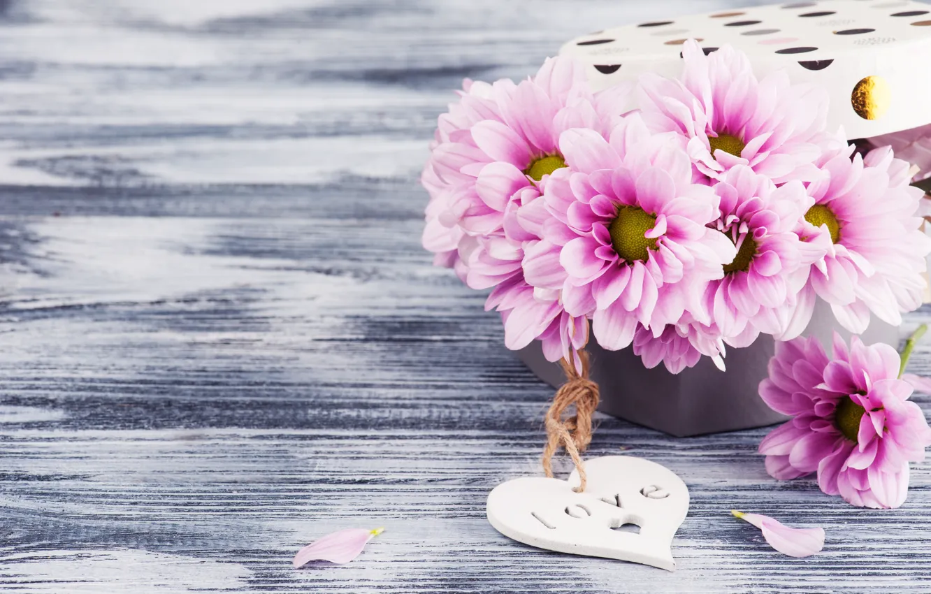 Photo wallpaper chrysanthemum, THE OFF, flowers, box, gift, pink