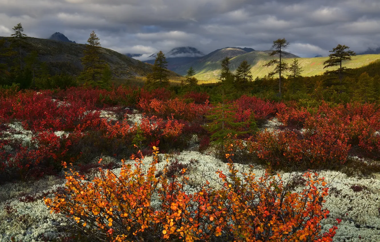 Photo wallpaper autumn, clouds, Kolyma