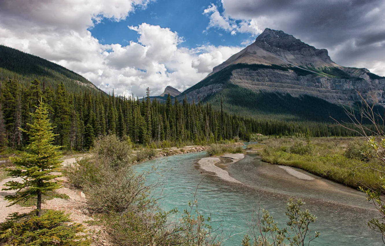 Photo wallpaper forest, the sky, trees, mountains, nature, river