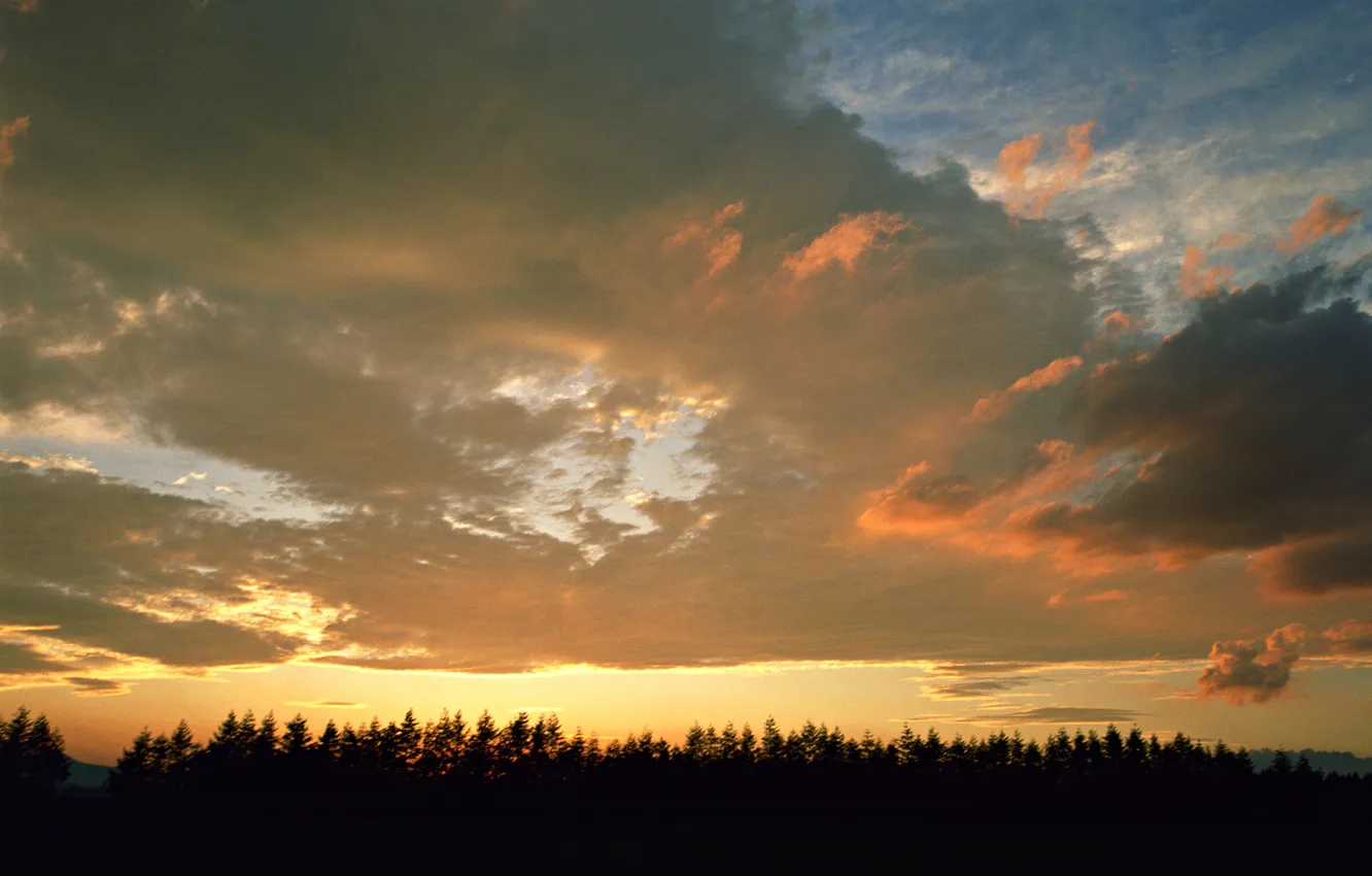 Photo wallpaper the sky, clouds, sunset