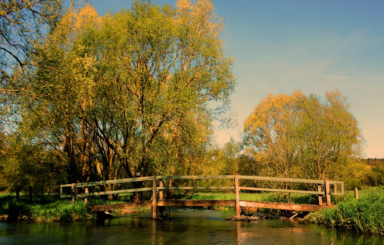 Photo wallpaper pond, Autumn, the bridge, bridge, autumn, pond, fall