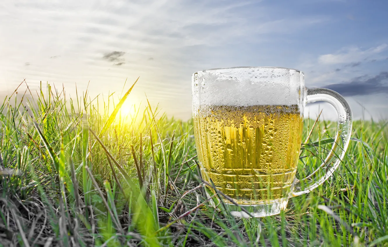 Photo wallpaper field, the sky, grass, the sun, dawn, beer, mug