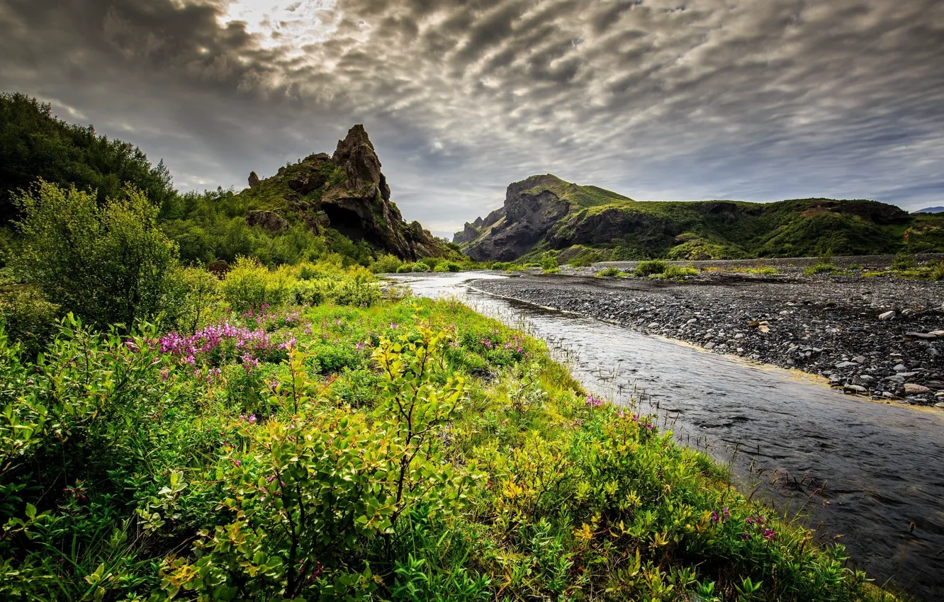 Photo wallpaper the sky, grass, river