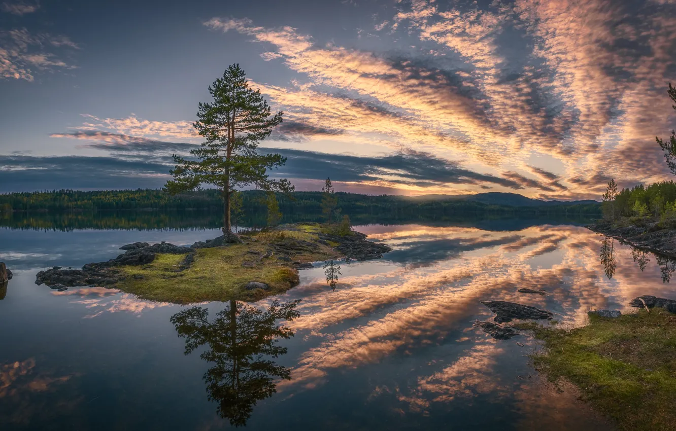 Photo wallpaper forest, clouds, lake, reflection, tree, island, Norway, pine