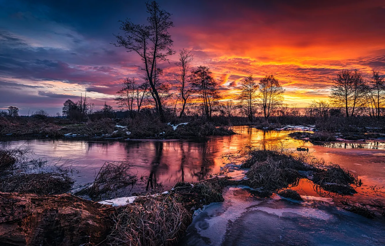 Photo wallpaper the sky, trees, sunset, nature, river, spring, Tomczak Michael