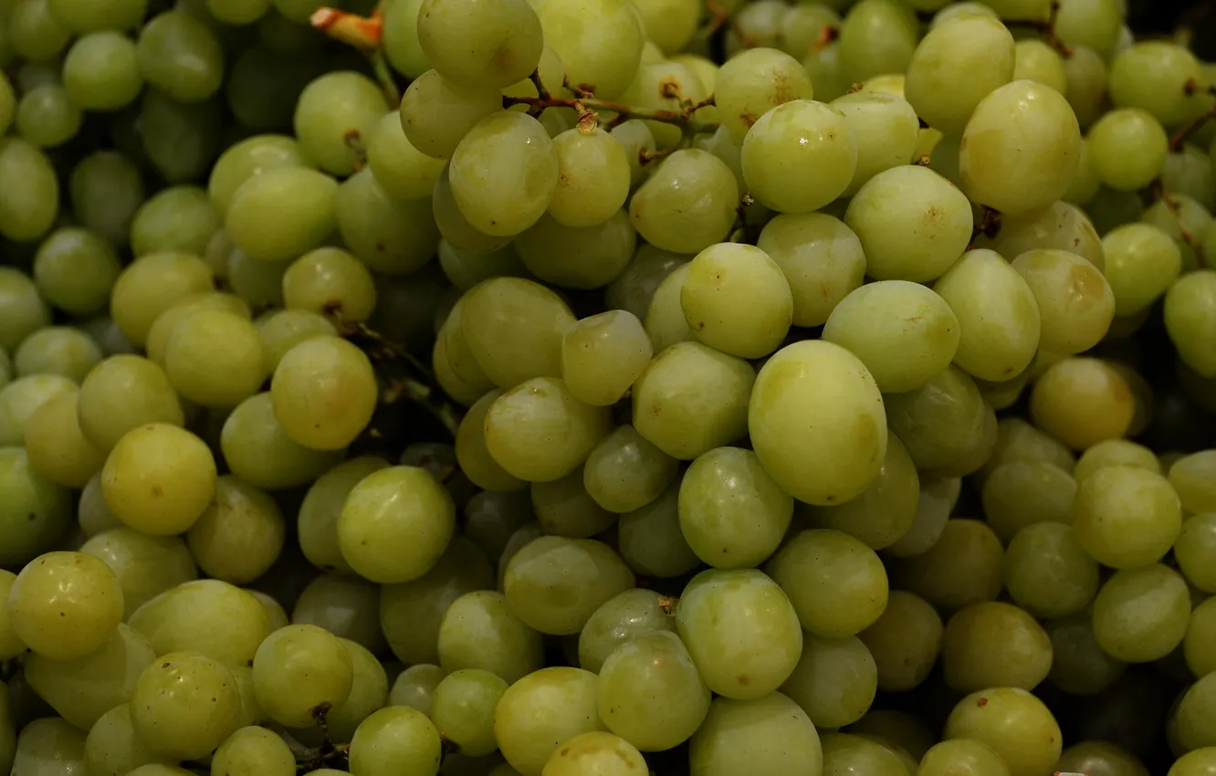 Photo wallpaper berries, grapes, white grapes