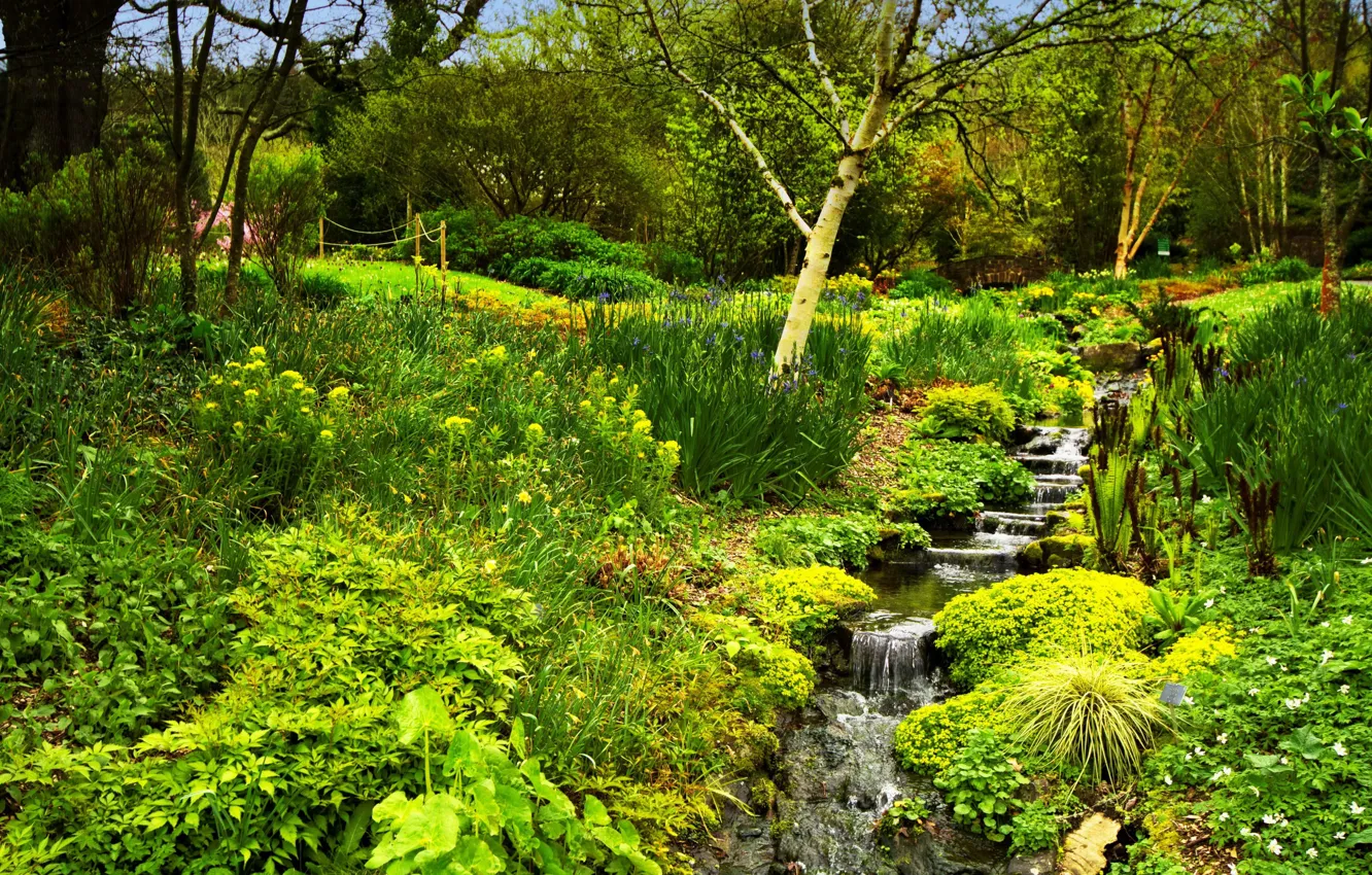 Photo wallpaper greens, grass, trees, Park, stream, England, the bushes, Rosemoor Gardens