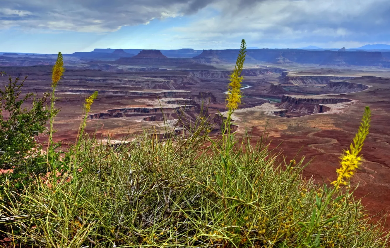 Photo wallpaper grass, landscape, mountains