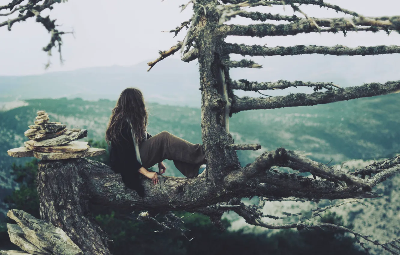 Photo wallpaper girl, nature, tree, mood, view