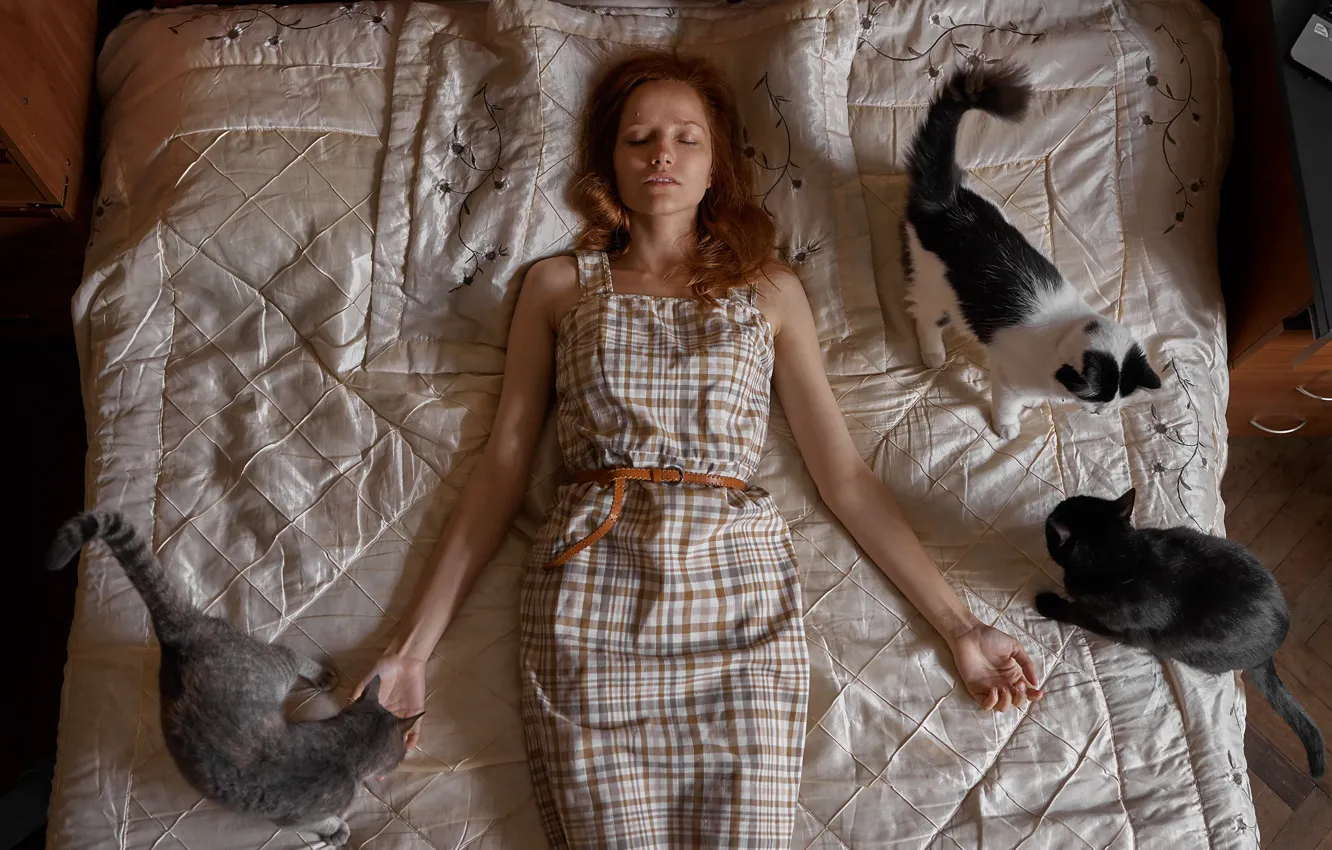 Photo wallpaper girl, cats, bed, Max Fiyah