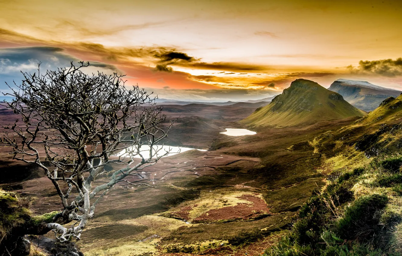 Photo wallpaper trees, mountains, nature, Scotland