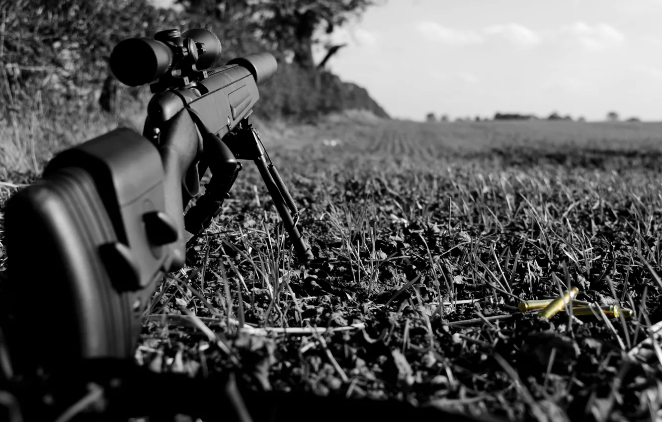 Photo wallpaper grass, rifle, sleeve, sniper, Steyr Scout