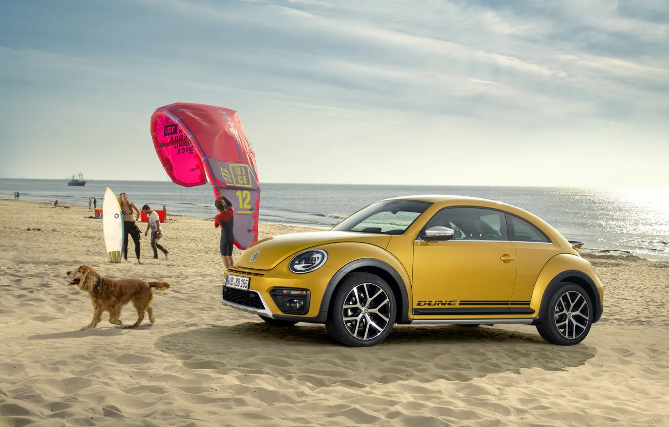 Photo wallpaper beetle, Volkswagen, Volkswagen, Beetle