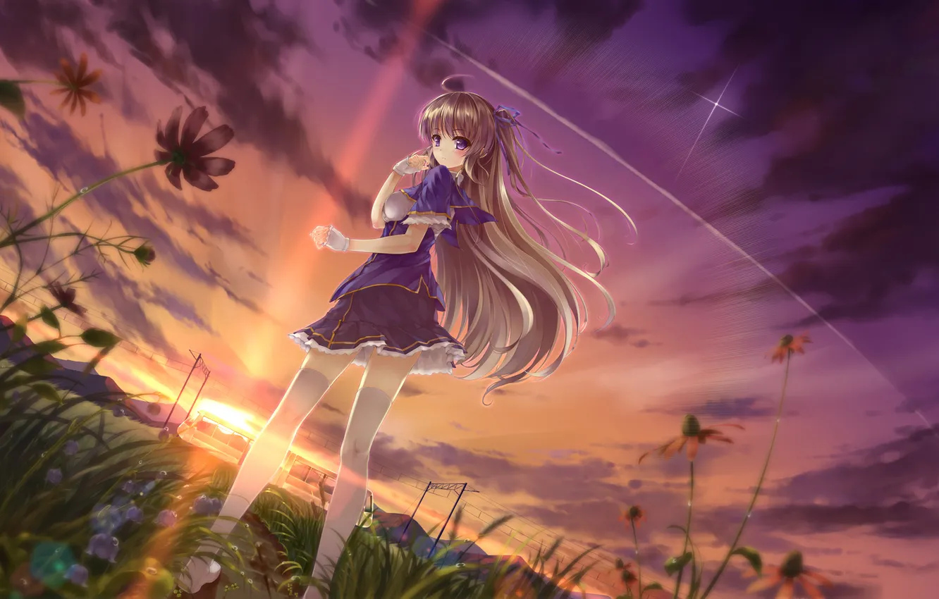 Photo wallpaper grass, sunset, flowers, meadow, girl