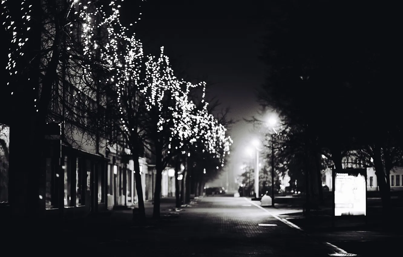 Photo wallpaper winter, road, trees, the city, lights, street, black and white, garland