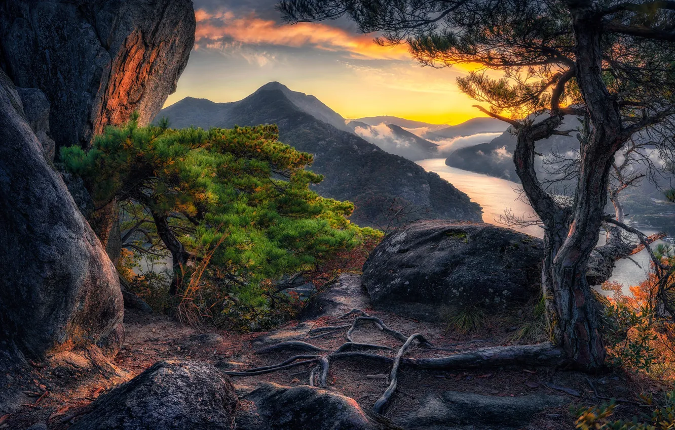 Photo wallpaper the sky, trees, mountains, stones, rocks, view, height, haze