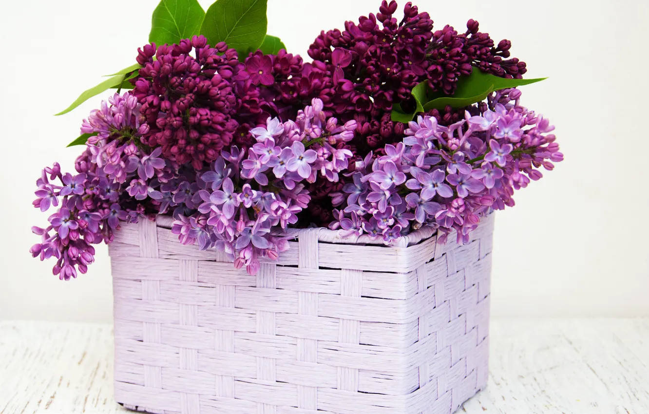 Photo wallpaper bouquet, basket, lilac, lilac, Olena Rudo