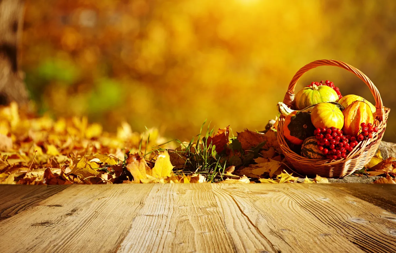 Photo wallpaper autumn, basket, pumpkin, leaves, Rowan
