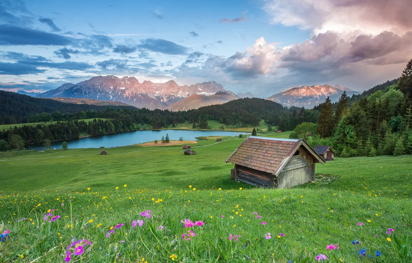 Photo wallpaper field, forest, summer, the sky, clouds, landscape, flowers, mountains