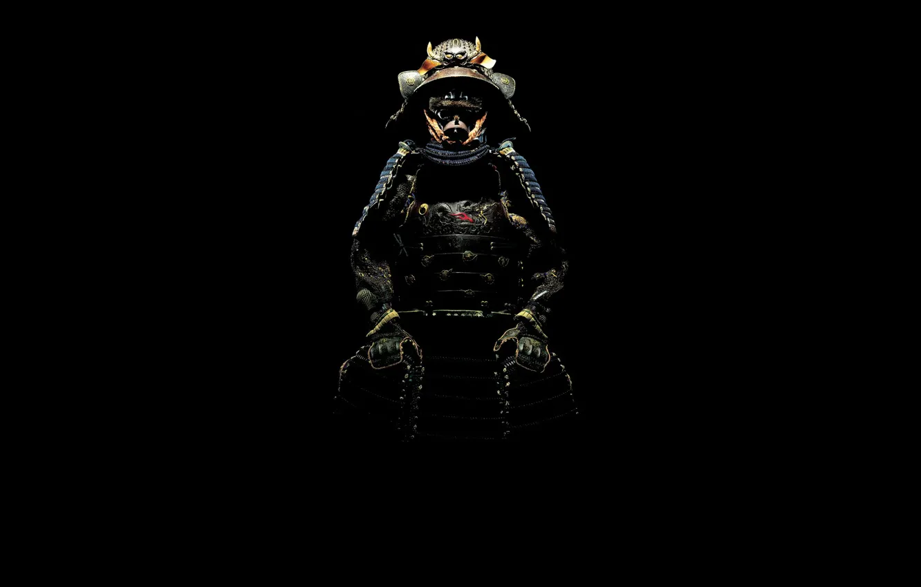 Photo wallpaper shadow, samurai, costume