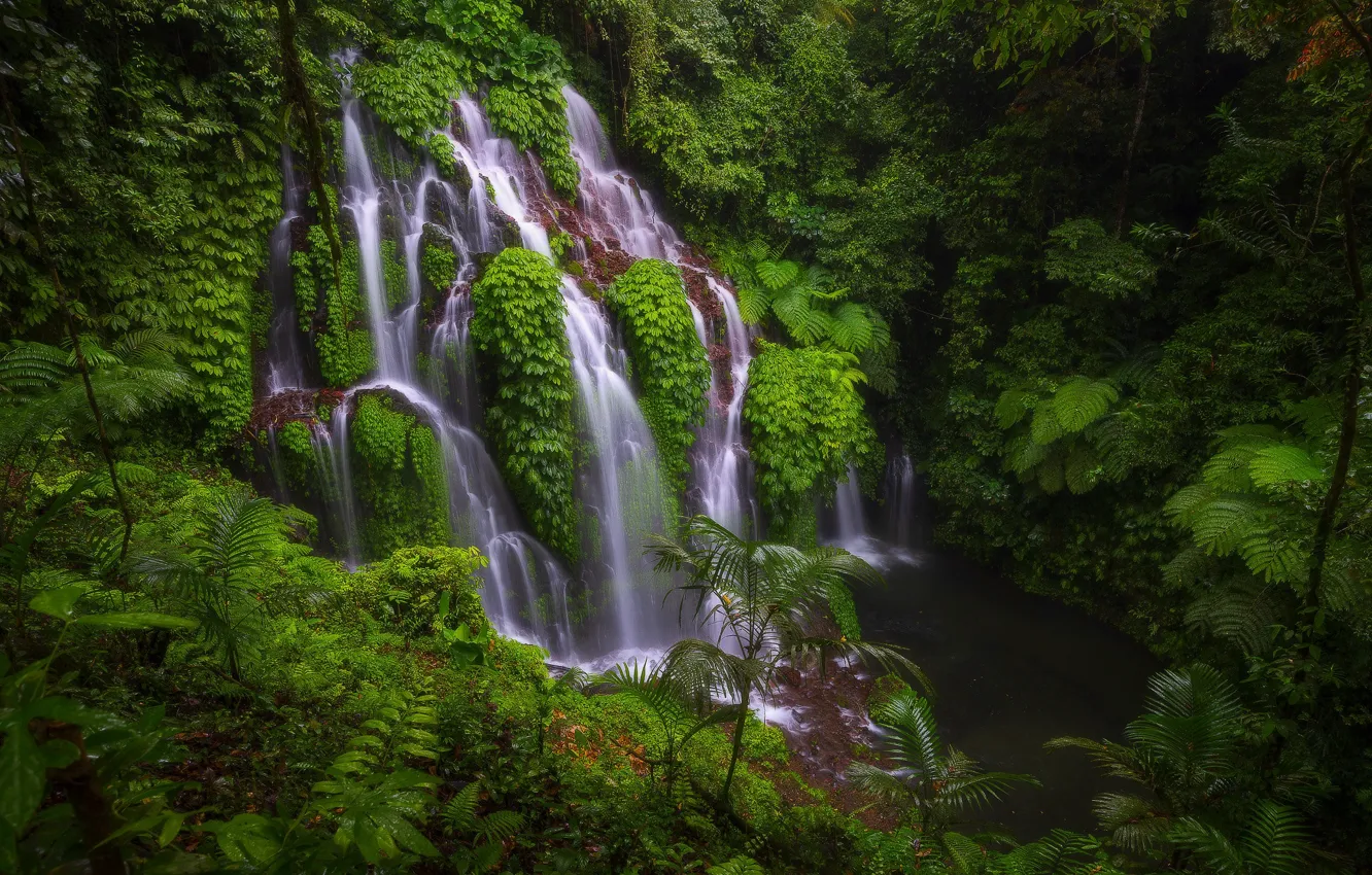 Photo wallpaper rocks, vegetation, waterfall