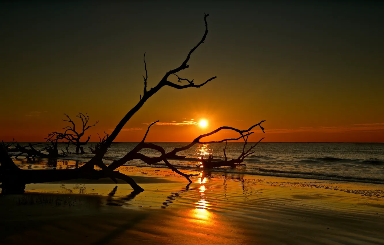 Photo wallpaper sea, the sky, landscape, sunset, beauty, log