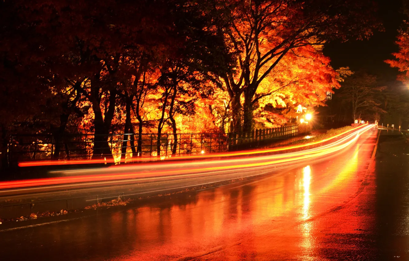 Photo wallpaper road, trees, night, lights, after the rain