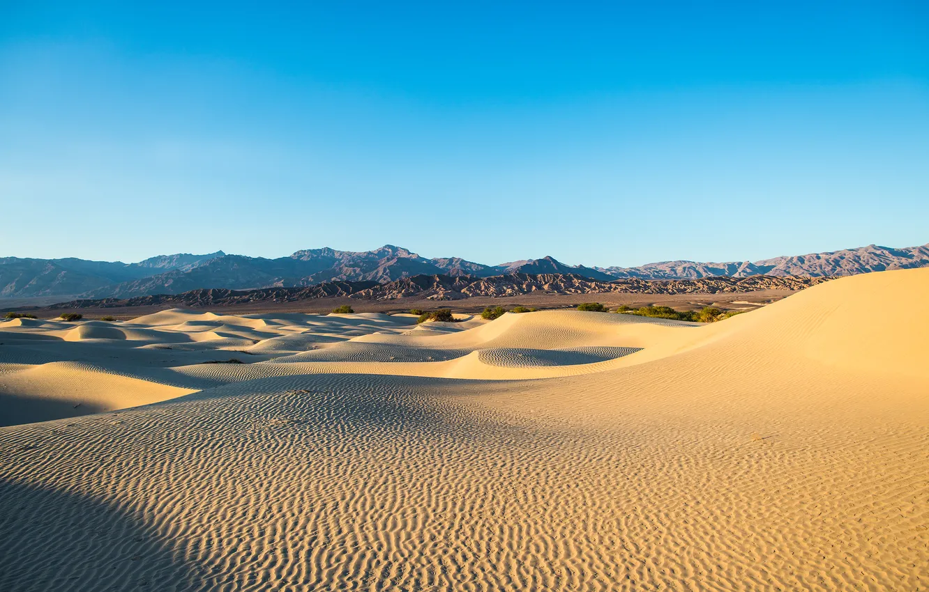 Photo wallpaper sand, nature, desert, dunes