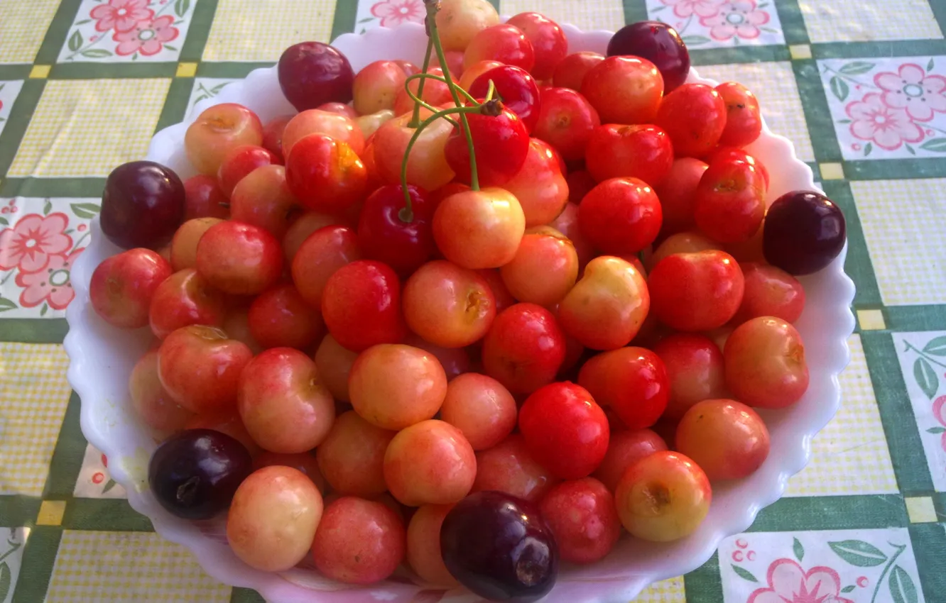 Photo wallpaper morning, harvest, cherry