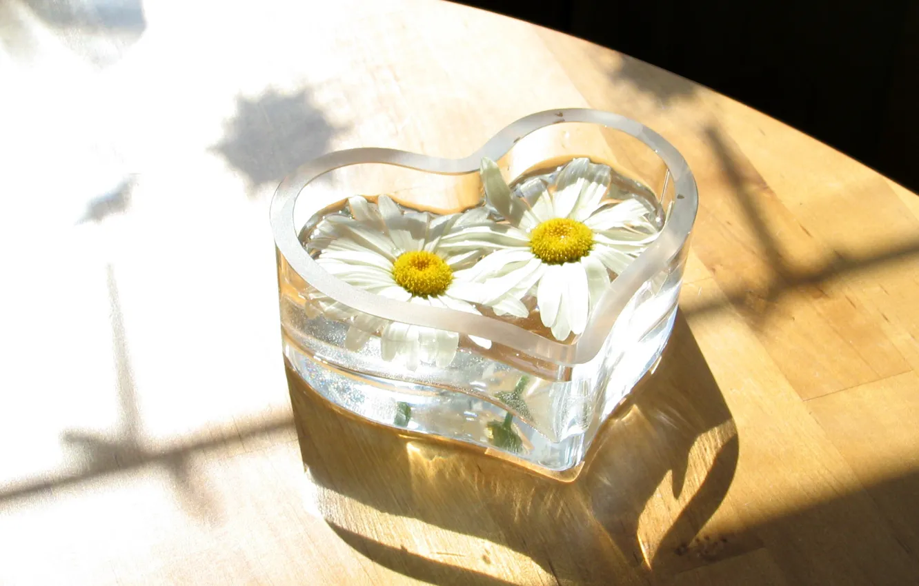 Photo wallpaper BACKGROUND, PAIR, GLASS, FLOOR, FLOWERS, HEART, FORM, WHITE