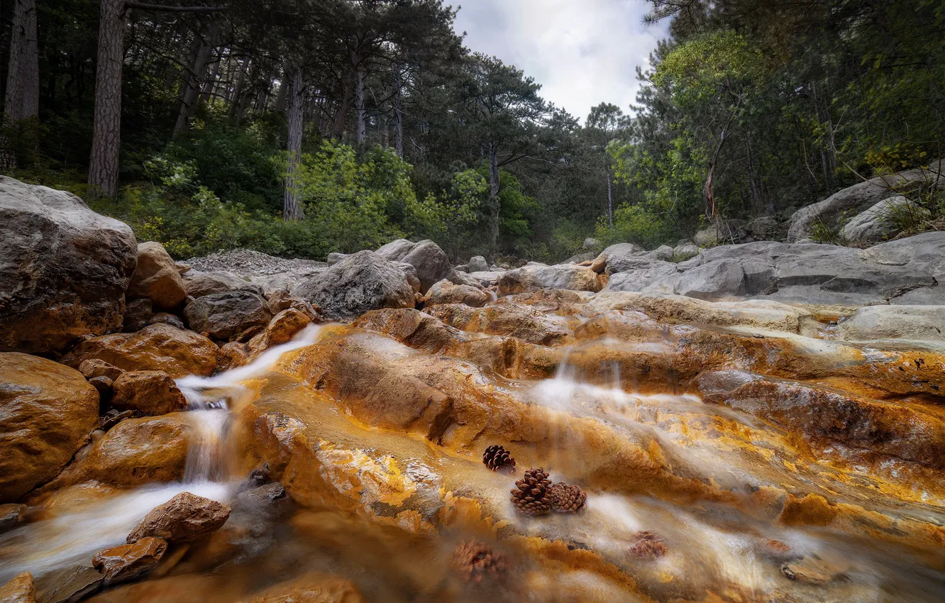 Photo wallpaper forest, landscape, nature, river, stones, waterfall, bumps, Crimea