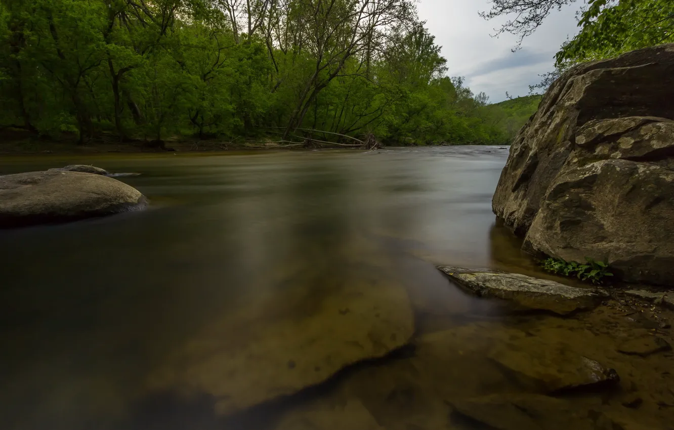 Photo wallpaper forest, river, stones